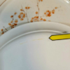 Corelle China Blossom Dinner Plates Set of 5 - Image 2