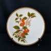 mikasa stoneware treesweet set of six dinner plates